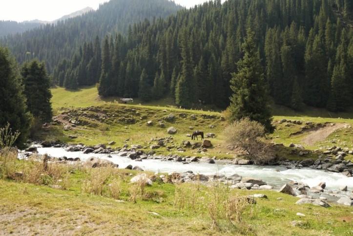 p1090465-%e8%a4%87%e8%a3%bd