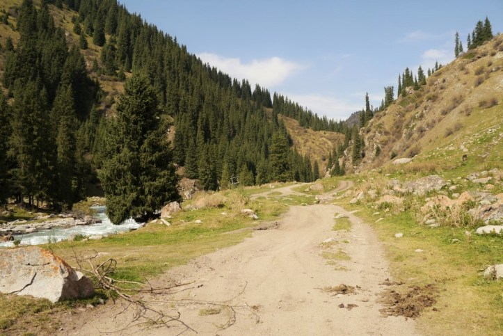 p1090469-%e8%a4%87%e8%a3%bd