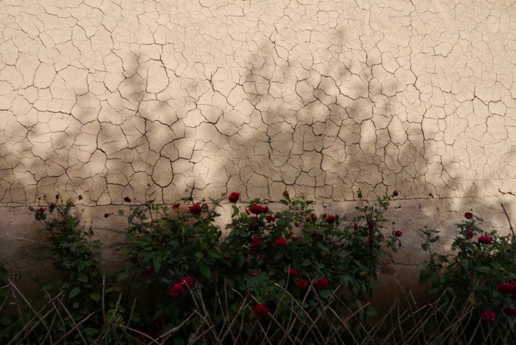 p1090584-%e8%a4%87%e8%a3%bd