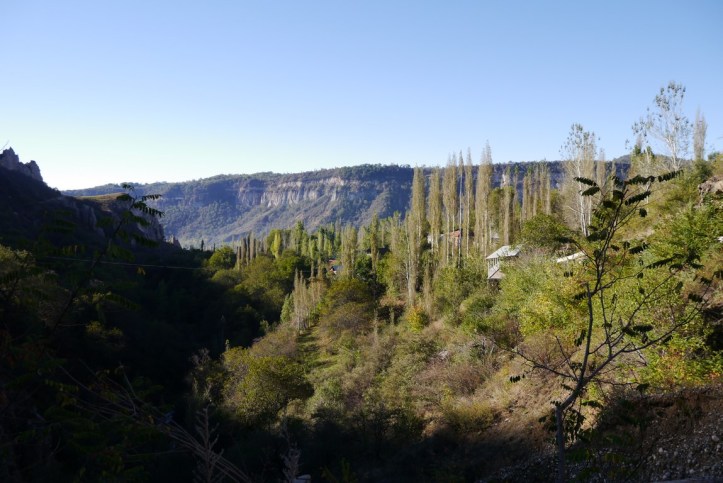 p1090596-%e8%a4%87%e8%a3%bd