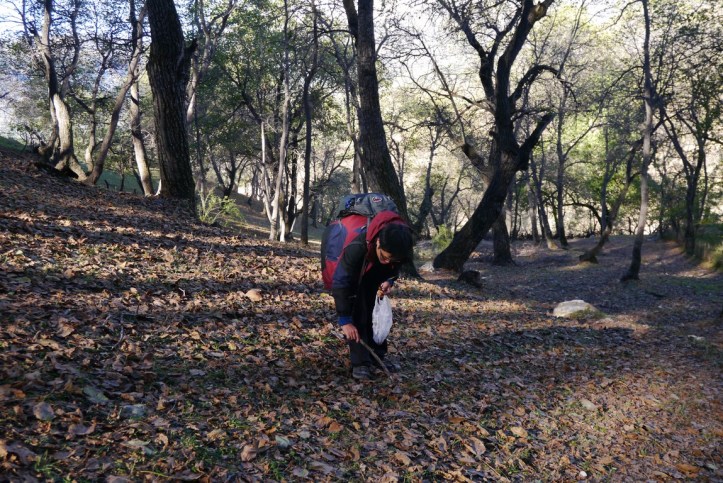 p1090607-%e8%a4%87%e8%a3%bd