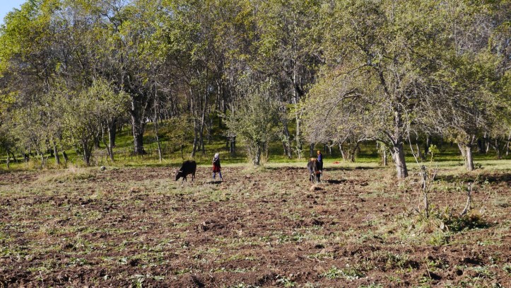 p1090616-%e8%a4%87%e8%a3%bd