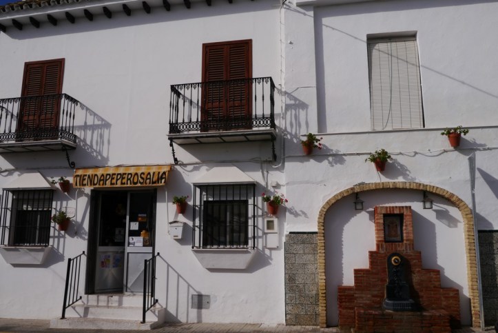 p1110525-%e8%a4%87%e8%a3%bd