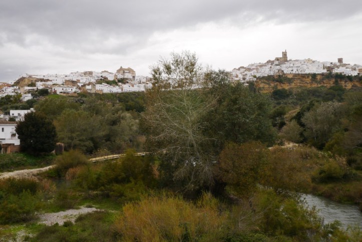 p1110548-%e8%a4%87%e8%a3%bd