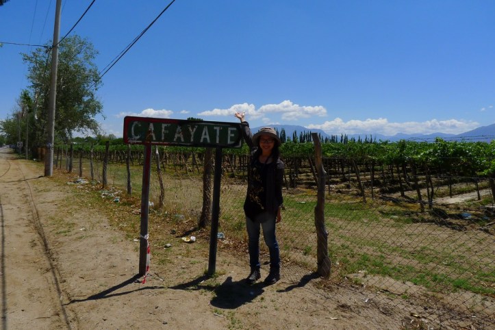 P1100685 (複製).JPG