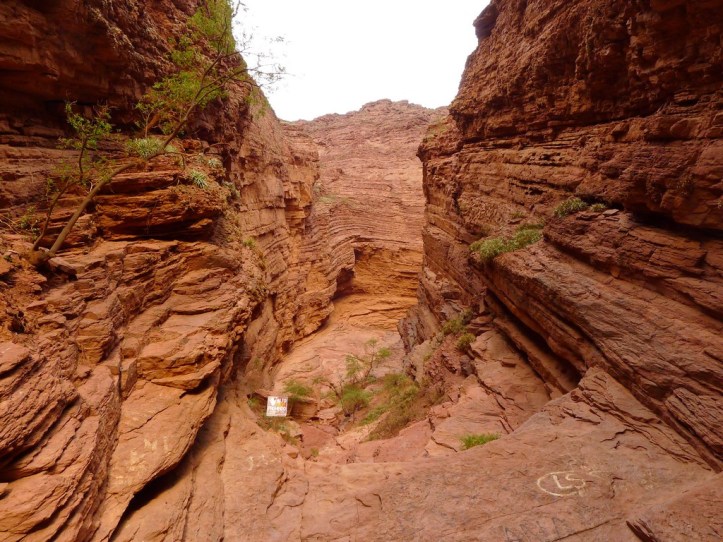 p1100789-%e8%a4%87%e8%a3%bd