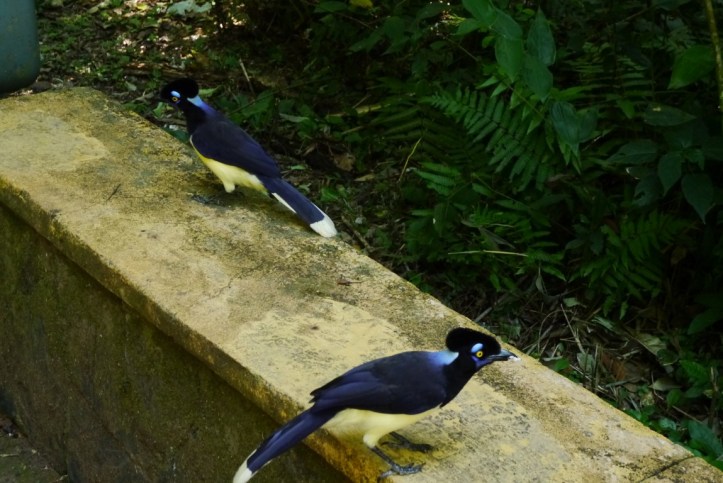 p1110858-%e8%a4%87%e8%a3%bd