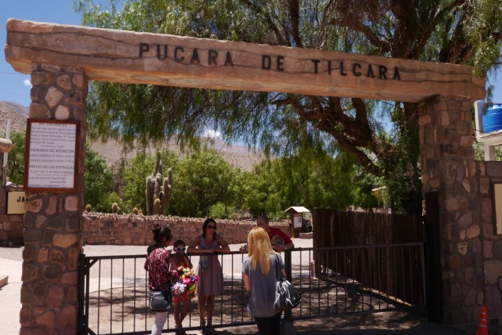 P1120048 (複製).JPG