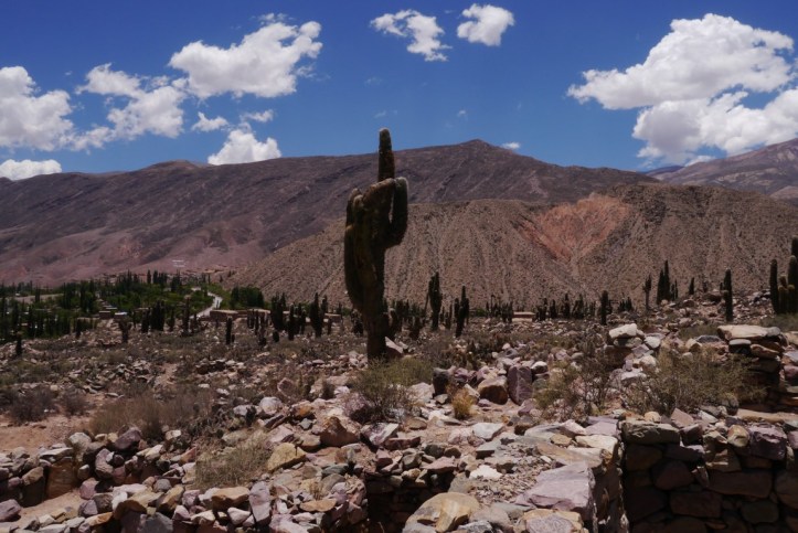 p1120075-%e8%a4%87%e8%a3%bd