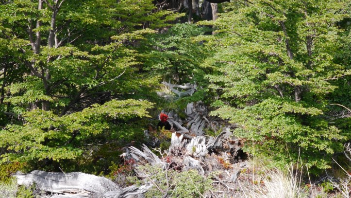 p1120515-%e8%a4%87%e8%a3%bd