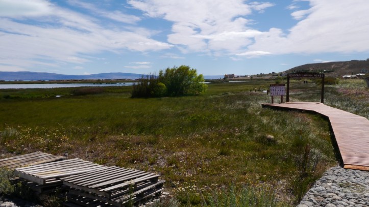 P1120668 (複製).JPG