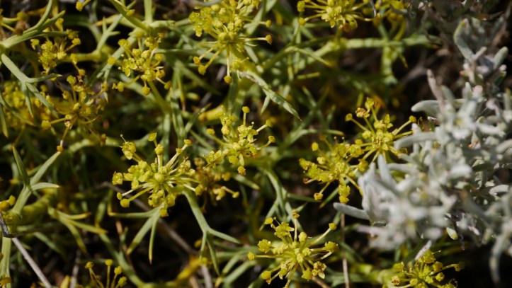 p1120692-%e8%a4%87%e8%a3%bd