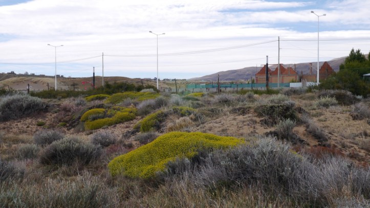 p1120702-%e8%a4%87%e8%a3%bd