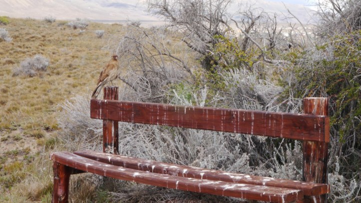 p1120713-%e8%a4%87%e8%a3%bd