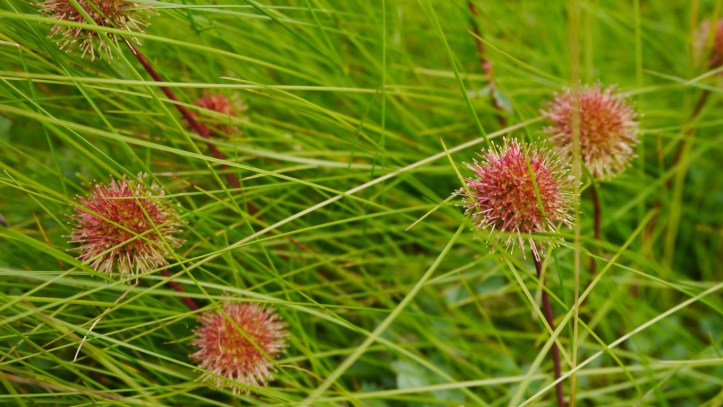 p1120919-%e8%a4%87%e8%a3%bd