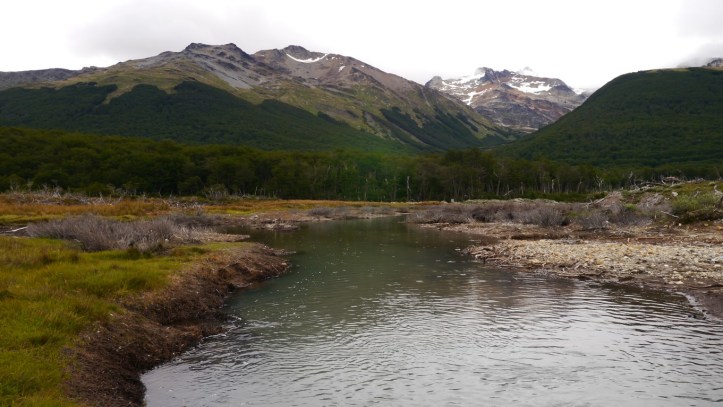 p1120968-%e8%a4%87%e8%a3%bd