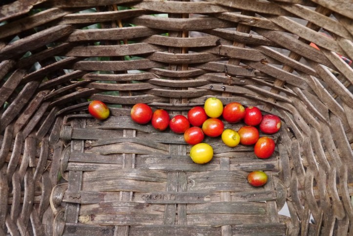 p1130281-%e8%a4%87%e8%a3%bd