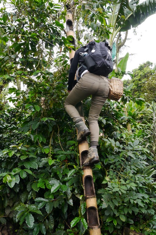 p1130284-%e8%a4%87%e8%a3%bd