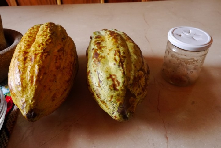 P1130335 (複製).JPG