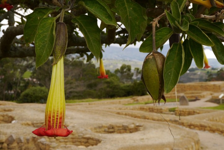 P1140713 (複製).JPG