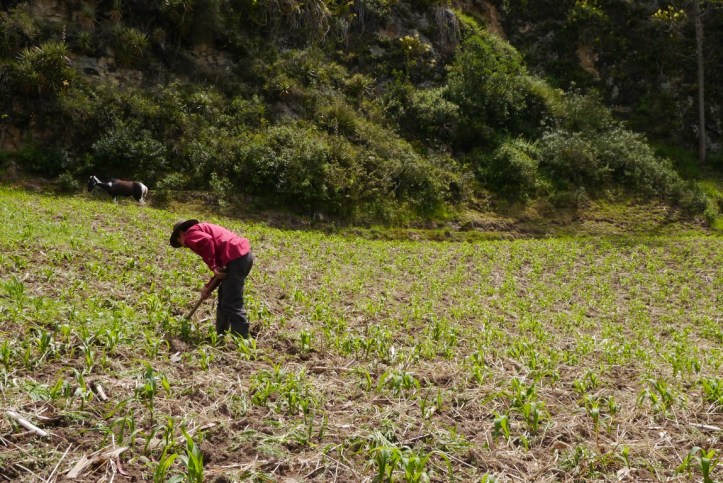 p1140772-%e8%a4%87%e8%a3%bd